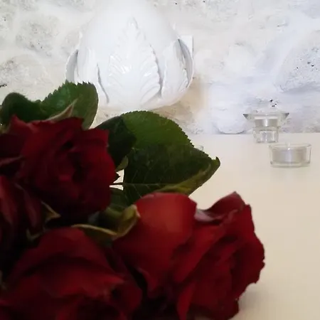 White Dream شقة